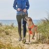 Non-Stop Dogwear Line Hundesele 5.0 Oransje