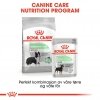 Royal Canin Digestive Care Medium Adult tørrfôr til hund