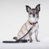 Tyylivoitto Classy Hundehalsbånd Liten Modell, Svart