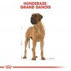 Royal Canin Great Dane Adult tørrfôr til hund