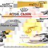 Royal Canin Maine Coon Adult Gravy våtfôr til katt 12x85g