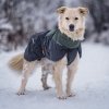 Non-Stop Dogwear Glacier Wool 2.0 Vinterdekken
