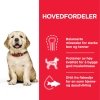 Hills Science Plan Puppy Large Breed Chicken 14,5 kg