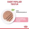 Royal Canin Mother & Babycat Mousse