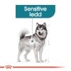 Royal Canin Joint Care Maxi Adult tørrfôr til hund