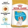 Royal Canin Cavalier King Charles Puppy tørrfôr til hundvalp