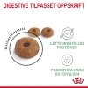 Royal Canin Digestive Care Adult tørrfôr til katt
