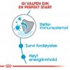 Royal Canin Mini Puppy tørrfôr til valp