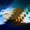Little&Bigger Deep Sea Katteigloo Blekksprut