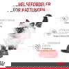 Royal Canin Kitten tørrfôr til kattunge