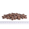 Brit Care Mini Grain Free Yorkshire Adult (2 kg)