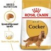 Royal Canin Cocker Adult tørrfôr til hund