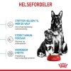 Royal Canin Maxi Starter tørrfôr til hund og valp