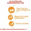 Royal Canin Hair & Skin Care Gravy Adult våtfôr til katt 12x85g
