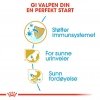 Royal Canin Dalmatian Puppy tørrfôr til hundvalp