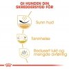 Royal Canin Shih Tzu Adult tørrfôr til hund