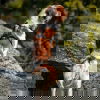 Feel Active Reflective Sele Svart