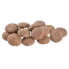 Brit Care Dog Sustainable Adult Large Breed Chicken & Insect (12 kg)