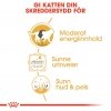 Royal Canin British Shorthair Adult Gravy våtfôr til katt 12x85 g