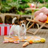 Little&Bigger Juicy Vibes recy Tauleke med bungee handtak