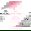 Royal Canin Kitten tørrfôr til kattunge