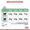 Royal Canin Digestive Care Adult tørrfôr til katt