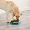 Nina Ottosson Lickin Layers Slow Feeder Puzzle