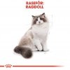 Royal Canin Ragdoll Adult tørrfôr til katt