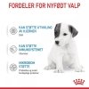 Royal Canin Babydog Milk melk til valp