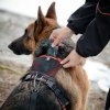 Feel Active Outdoor Hundsele med Lomme, Svart