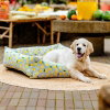 Little&Bigger Juicy Vibes Hundeseng sitron