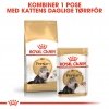Royal Canin Persian Adult tørrfôr til katt