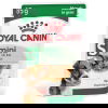 Royal Canin Mini Adult Gravy våtfôr til hund 12x85g