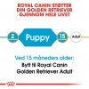 Royal Canin Golden Retriever Puppy tørrfôr til hundvalp