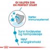 Royal Canin X-small Puppy tørrfôr til valp