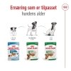 Royal Canin Mini Ageing Gravy våtfôr til hund 12x85 g