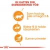 Royal Canin Hair & Skin Care Jelly Adult våtfôr til katt 12x85g
