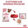 Royal Canin Mother & Babycat Mousse