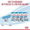 Royal Canin Mother & Babydog Starter Mousse våtfôr til hund og valp