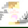 Royal Canin Persian Kitten tørrfôr til kattunge
