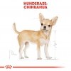 Royal Canin Chihuahua Adult tørrfôr til hund