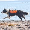 Non-Stop Dogwear Protector Redningsvest til hund, Oransje & Svart