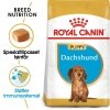 Royal Canin Dachshund Puppy tørrfôr til valp 1,5kg