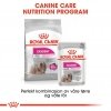 Royal Canin Exigent Adult våtfôr til hund 12x85 g