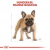 Royal Canin French Bulldog Adult tørrfôr til hund
