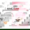 Royal Canin Kitten tørrfôr til kattunge