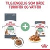 Royal Canin Digestive Care Adult tørrfôr til katt
