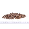 Brit Care Mini Grain Free Adult Sensitive Venison (7 kg)