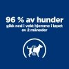 Hills Prescription Diet Canine Metabolic Weight Loss & Maintenace Chicken