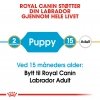 Royal Canin Breed Labrador Retriever Puppy tørrfôr til hundvalp